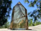 Polished Champagne Citrine Smokey Phantom Quartz Crystal x 1 From Anzojorabe, Madagascar