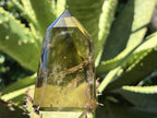 Polished Champagne Citrine Smokey Phantom Quartz Crystal x 1 From Anzojorabe, Madagascar
