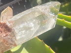 Natural Double Phantom Clear Quartz Crystal x 1 From Mpika, Zambia