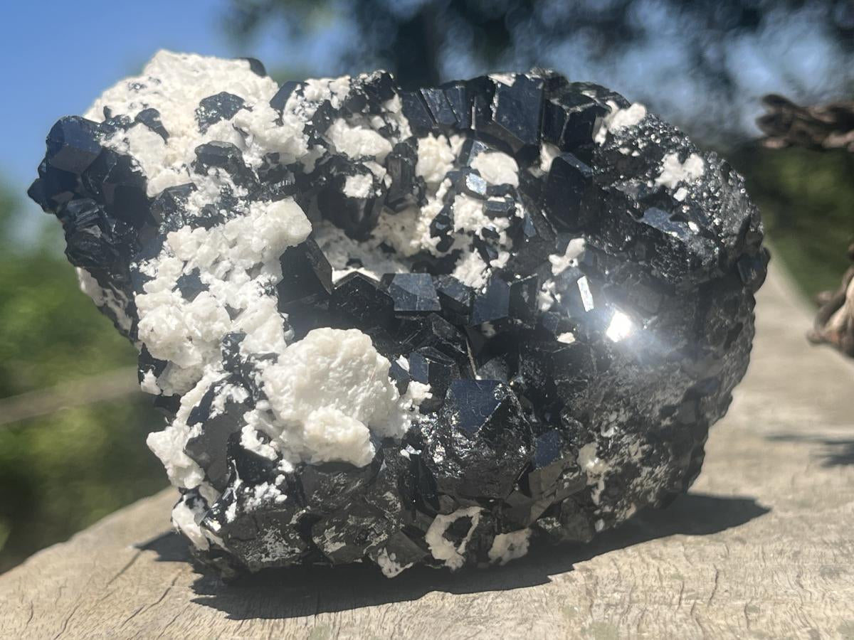 Natural Schorl Black Tourmaline with Feldspar x 1 From Erongo, Namibia