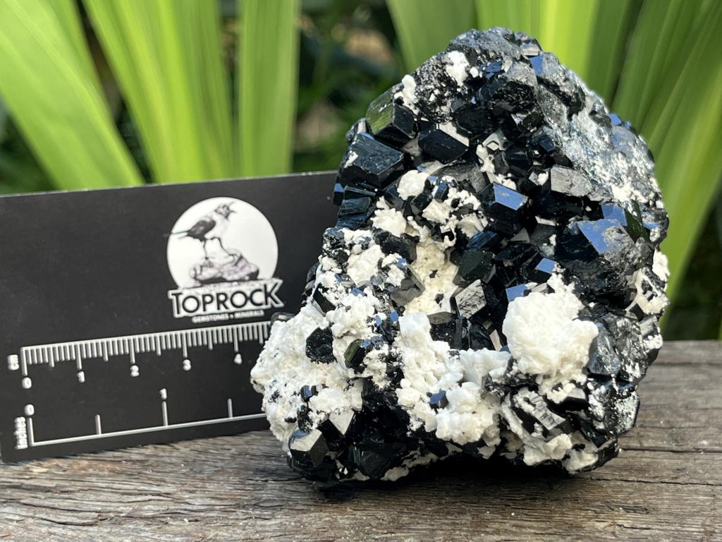 Natural Schorl Black Tourmaline with Feldspar x 1 From Erongo, Namibia