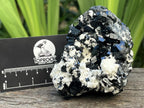 Natural Schorl Black Tourmaline with Feldspar x 1 From Erongo, Namibia