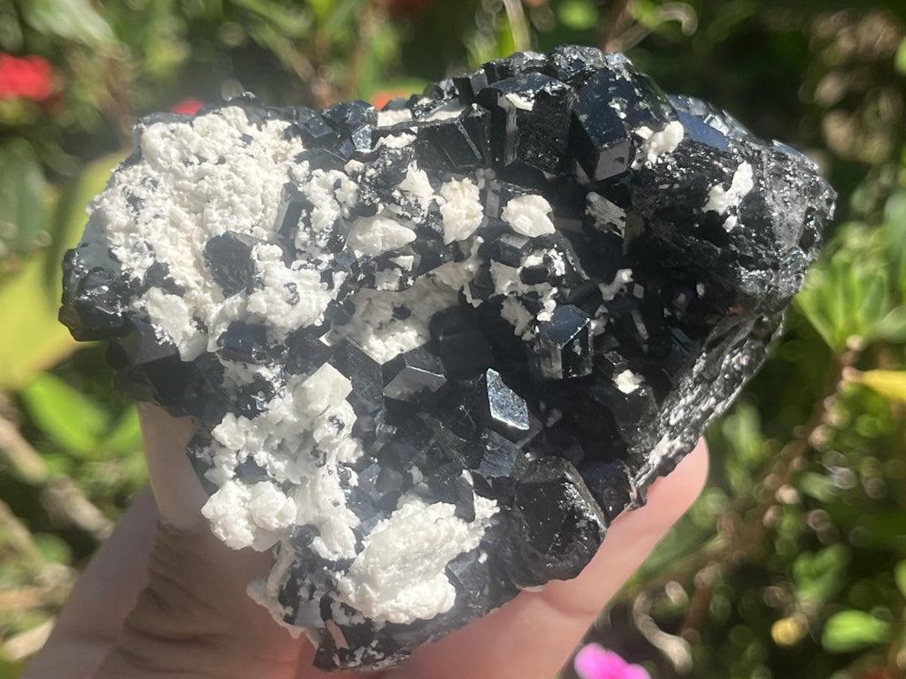 Natural Schorl Black Tourmaline with Feldspar x 1 From Erongo, Namibia