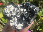 Natural Schorl Black Tourmaline with Feldspar x 1 From Erongo, Namibia