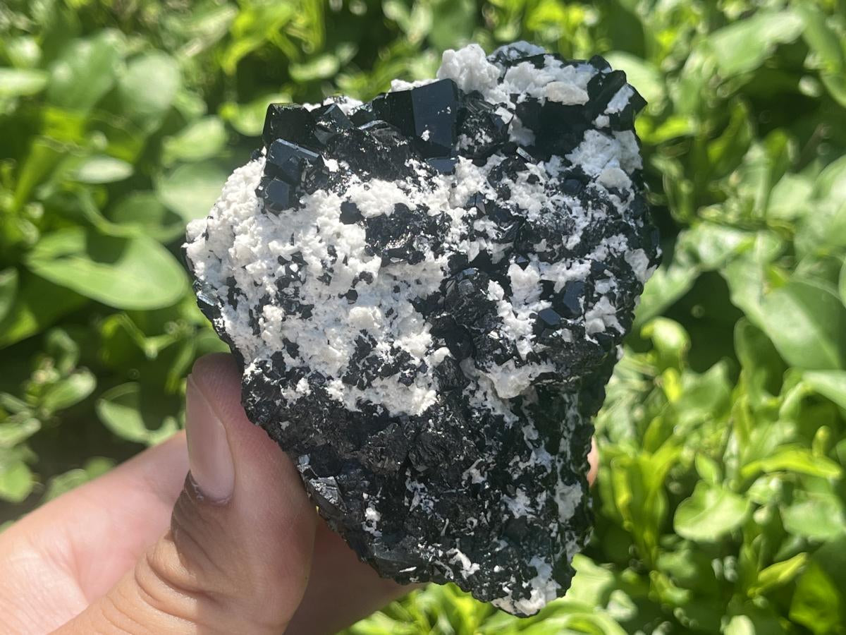 Natural Schorl Black Tourmaline with Feldspar x 1 From Erongo, Namibia