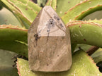 Polished Smokey Golden Rutile Quartz Crystal x 1 From Madagascar