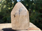 Polished Smokey Golden Rutile Quartz Crystal x 1 From Madagascar