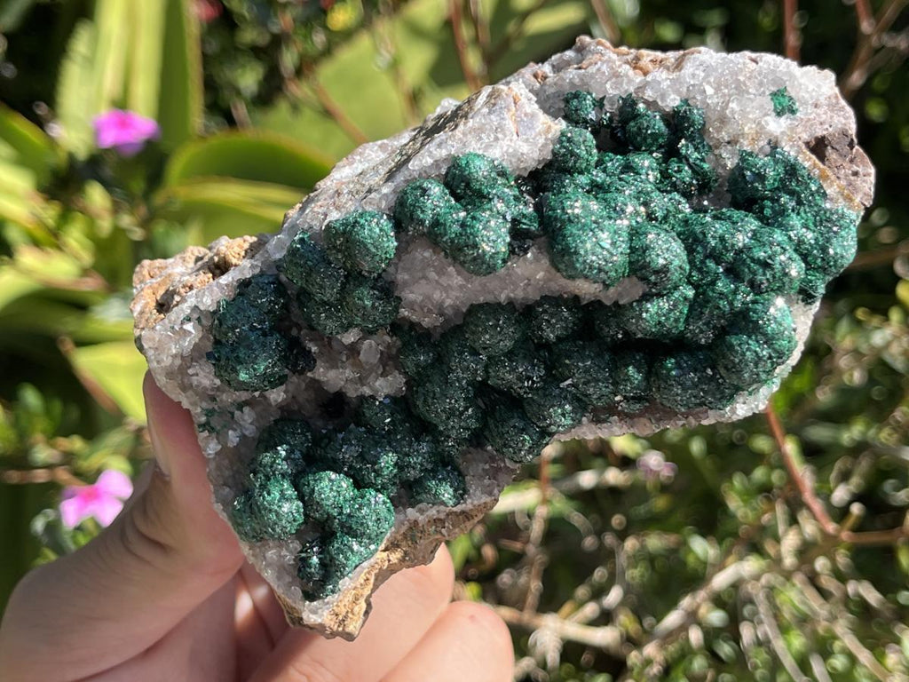 Natural Large Classic Ball Malachite With Quartz on Dolomite  x 1 From Mindingi Mine, Congo