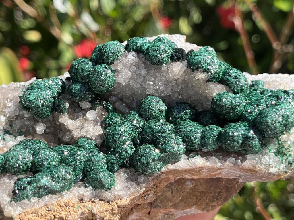 Natural Large Classic Ball Malachite With Quartz on Dolomite  x 1 From Mindingi Mine, Congo