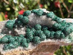 Natural Large Classic Ball Malachite With Quartz on Dolomite  x 1 From Mindingi Mine, Congo