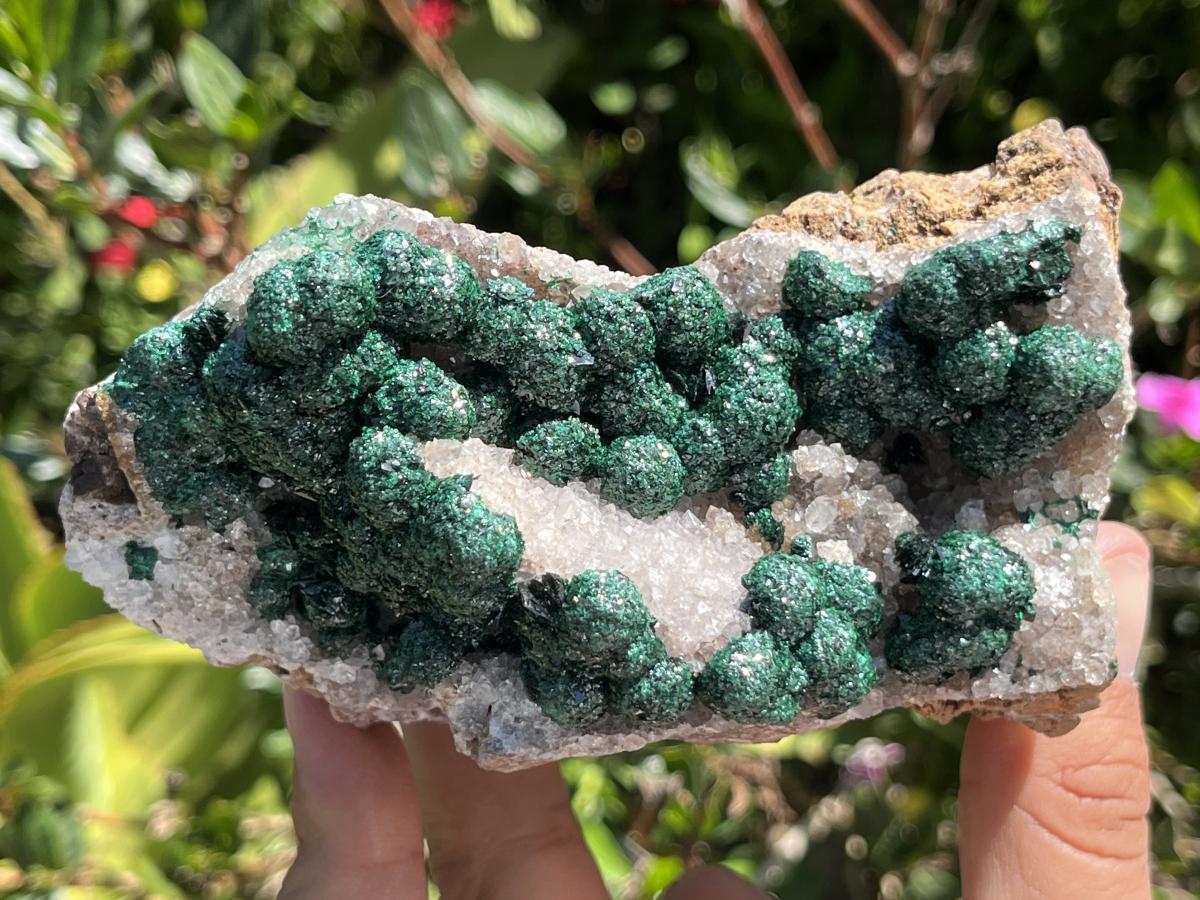 Natural Large Classic Ball Malachite With Quartz on Dolomite  x 1 From Mindingi Mine, Congo