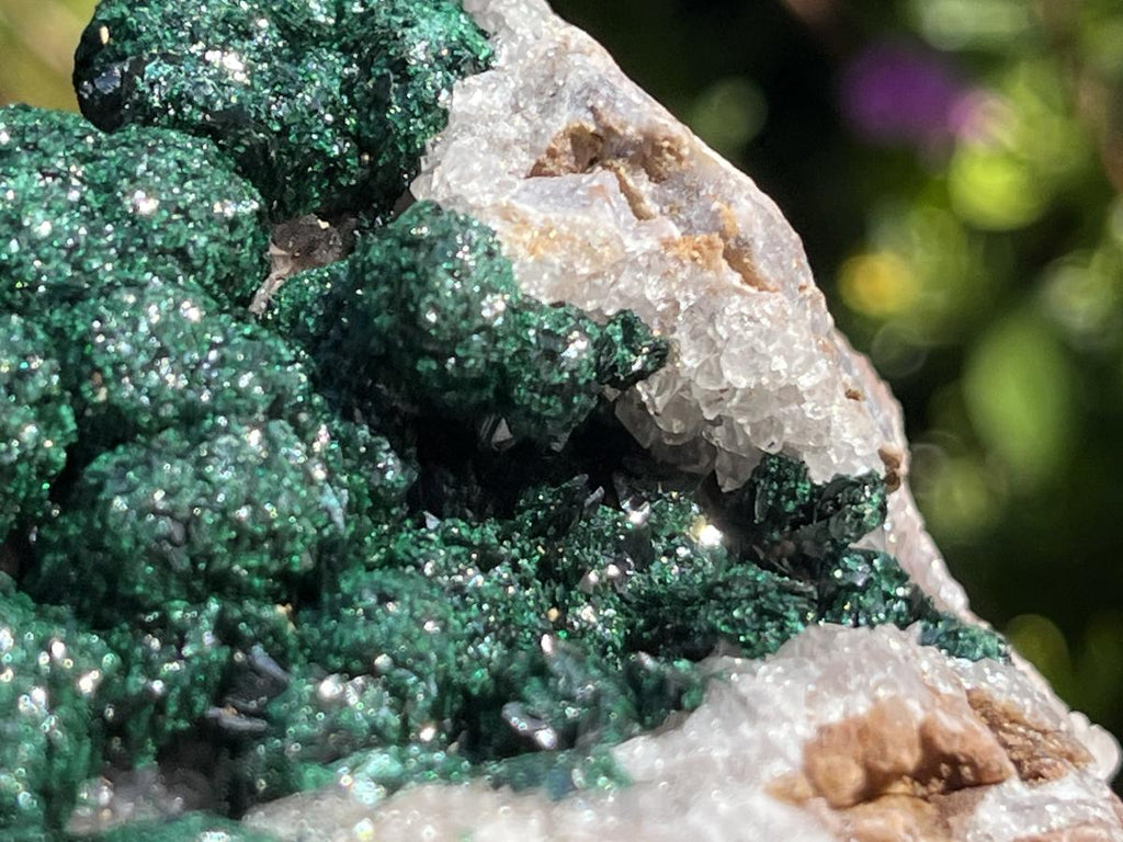 Natural Large Classic Ball Malachite With Quartz on Dolomite  x 1 From Mindingi Mine, Congo