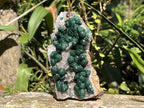 Natural Large Classic Ball Malachite With Quartz on Dolomite  x 1 From Mindingi Mine, Congo
