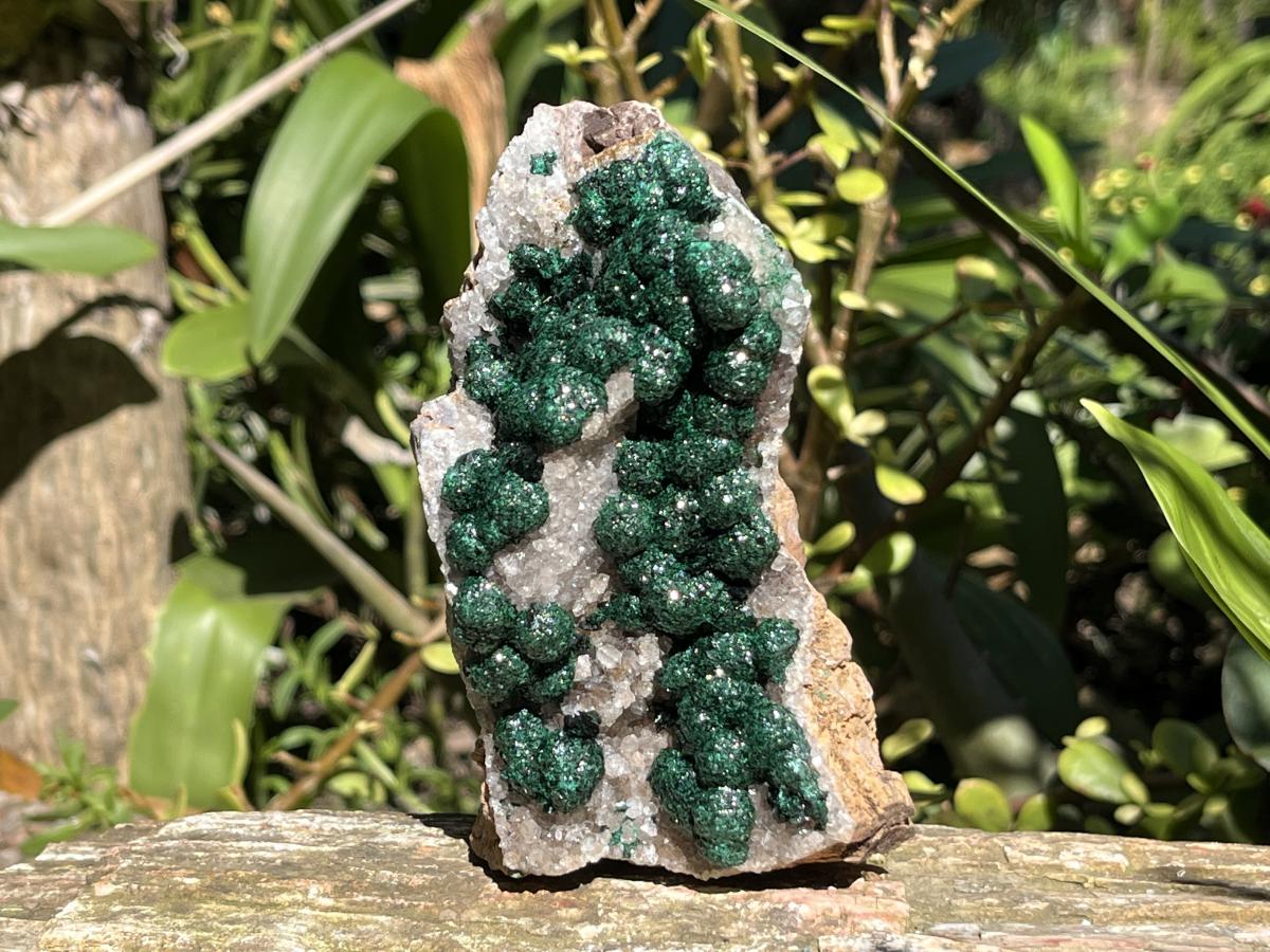 Natural Large Classic Ball Malachite With Quartz on Dolomite  x 1 From Mindingi Mine, Congo