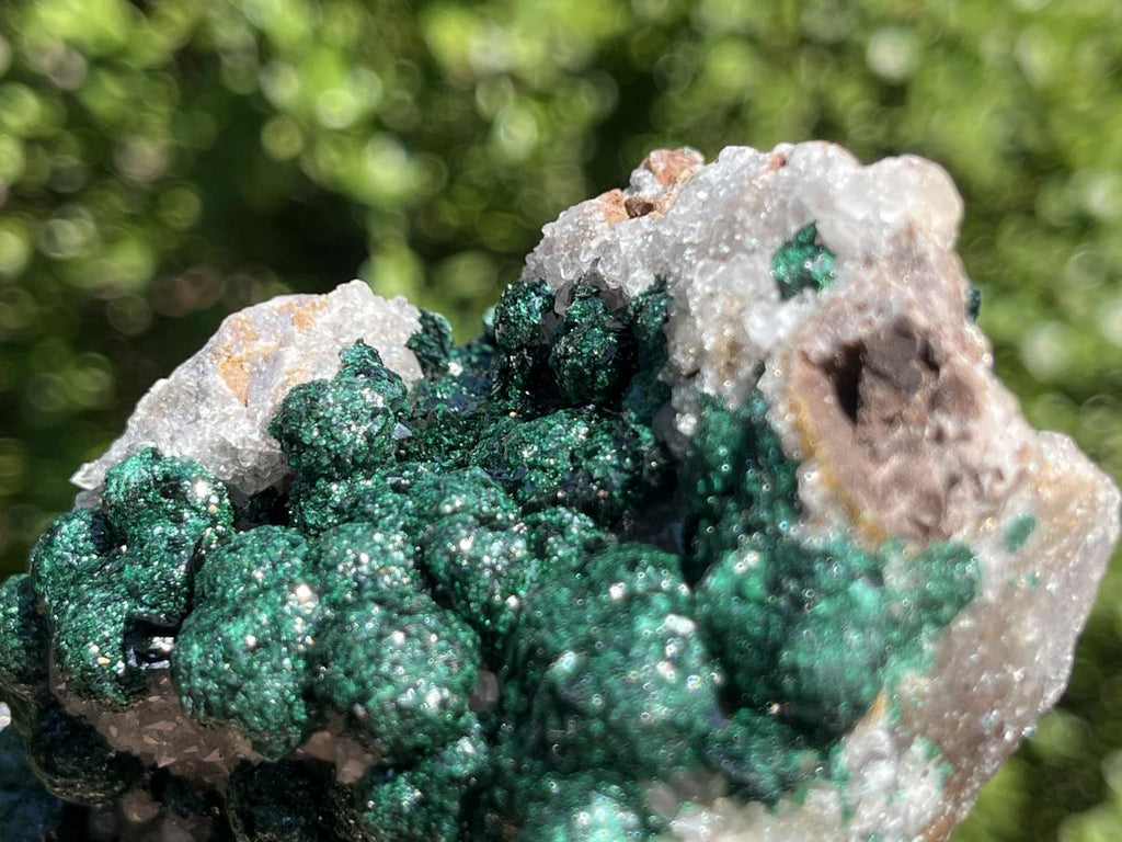 Natural Large Classic Ball Malachite With Quartz on Dolomite  x 1 From Mindingi Mine, Congo