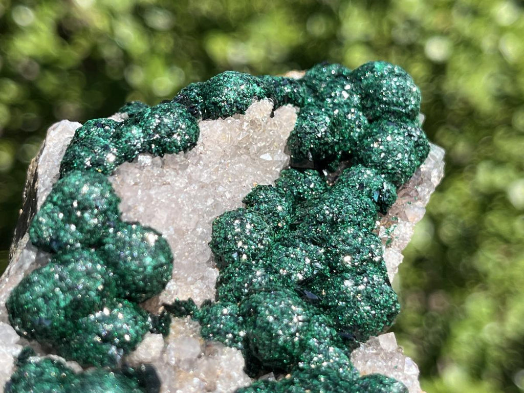 Natural Large Classic Ball Malachite With Quartz on Dolomite  x 1 From Mindingi Mine, Congo