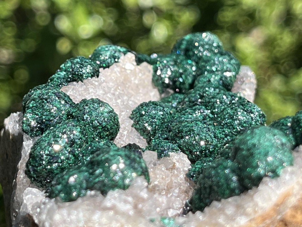 Natural Large Classic Ball Malachite With Quartz on Dolomite  x 1 From Mindingi Mine, Congo