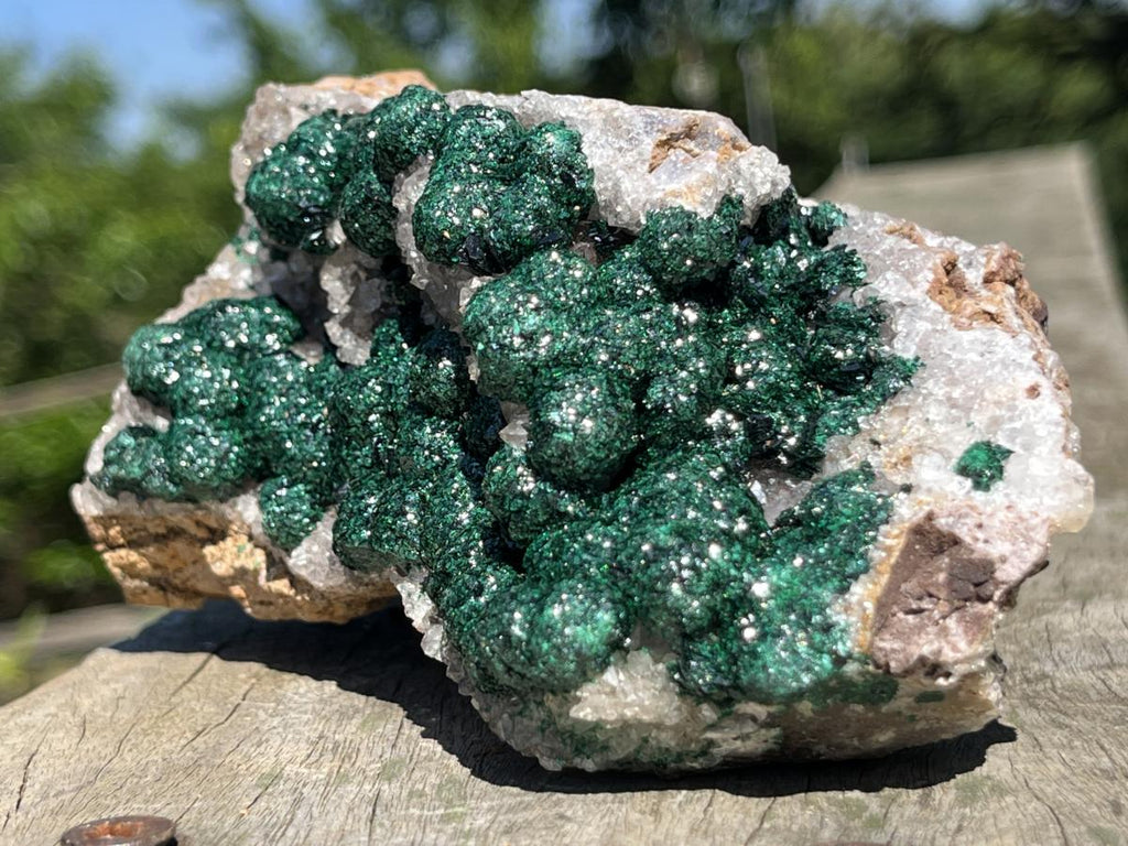 Natural Large Classic Ball Malachite With Quartz on Dolomite  x 1 From Mindingi Mine, Congo