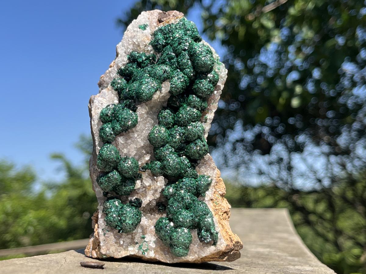 Natural Large Classic Ball Malachite With Quartz on Dolomite  x 1 From Mindingi Mine, Congo
