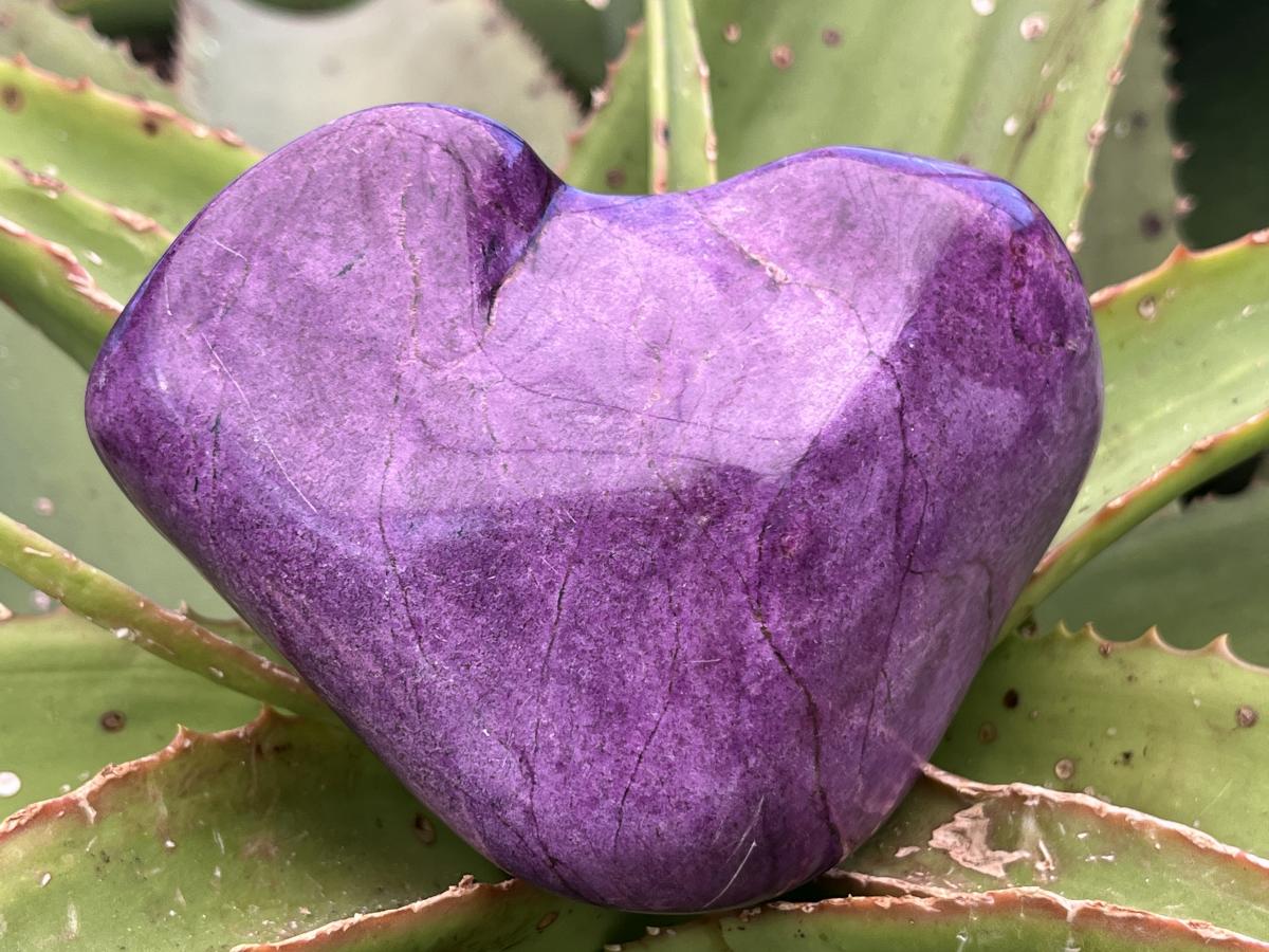 Polished Pure Silky Purple Stichtite Free Form x 1 From Barberton, South Africa