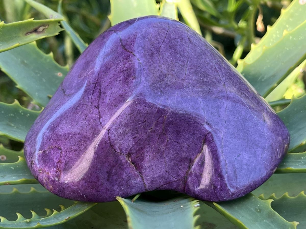Polished Pure Silky Purple Stichtite Free Form x 1 From Barberton, South Africa