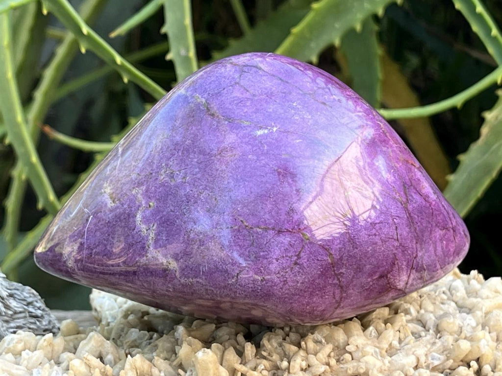 Polished Pure Silky Purple Stichtite Free Form x 1 From Barberton, South Africa