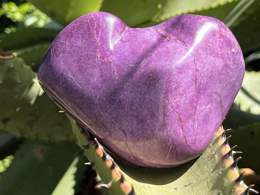 Polished Pure Silky Purple Stichtite Free Form x 1 From Barberton, South Africa