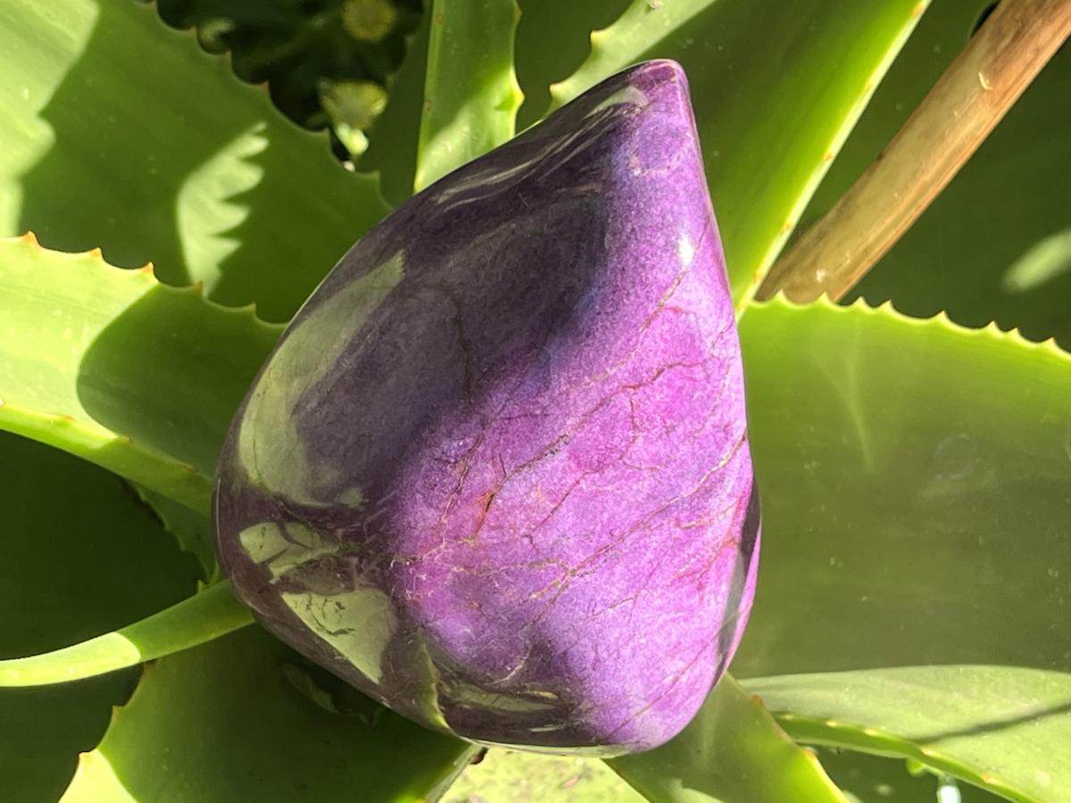 Polished Pure Silky Purple Stichtite Free Form x 1 From Barberton, South Africa