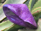 Polished Pure Silky Purple Stichtite Free Form x 1 From Barberton, South Africa