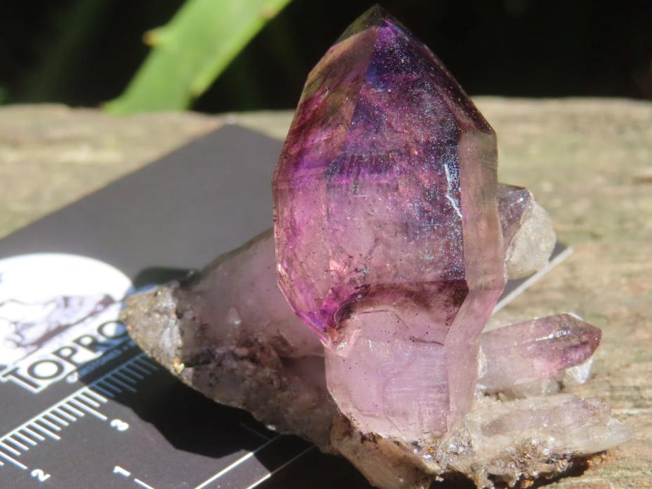 Natural Smokey Amethyst Window Sceptre Crystal x 1 From Chiredzi, Zimbabwe