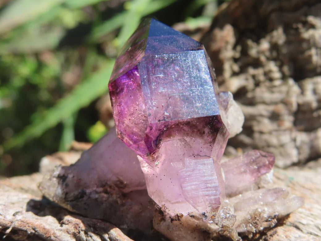 Natural Smokey Amethyst Window Sceptre Crystal x 1 From Chiredzi, Zimbabwe