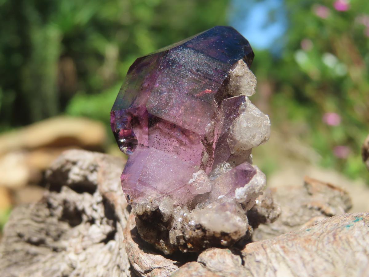 Natural Smokey Amethyst Window Sceptre Crystal x 1 From Chiredzi, Zimbabwe