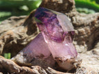Natural Smokey Amethyst Window Sceptre Crystal x 1 From Chiredzi, Zimbabwe