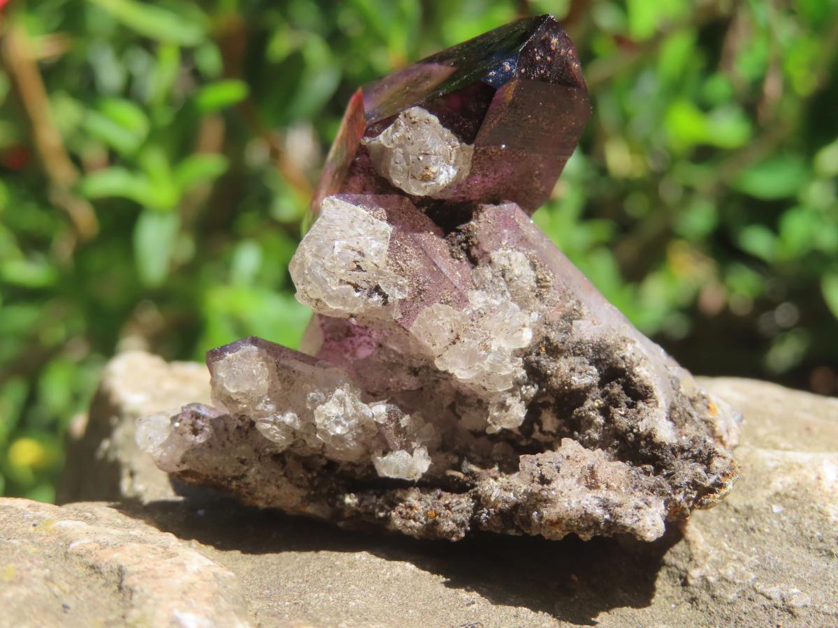 Natural Smokey Amethyst Window Sceptre Crystal x 1 From Chiredzi, Zimbabwe