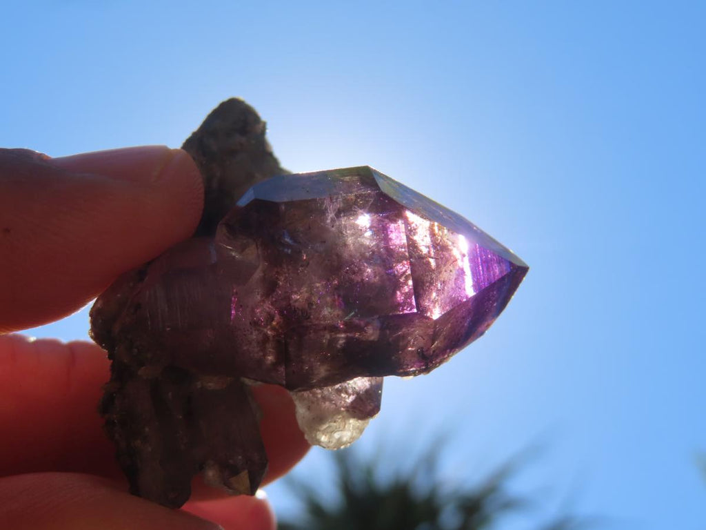 Natural Smokey Amethyst Window Sceptre Crystal x 1 From Chiredzi, Zimbabwe