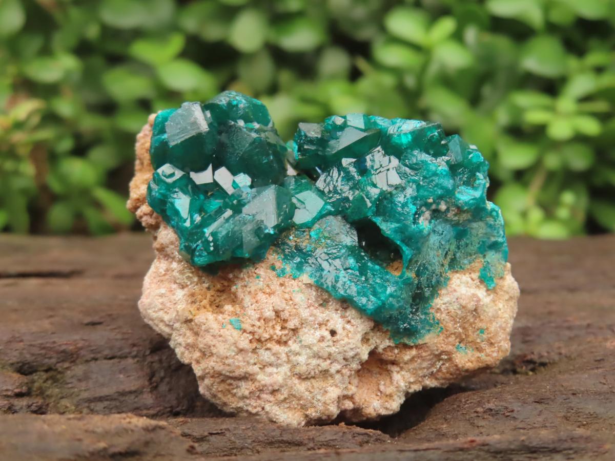 Natural Small Classic Dioptase Specimen on Dolomite Matrix x 1 From Likasi, Congo