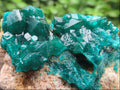 Natural Small Classic Dioptase Specimen on Dolomite Matrix x 1 From Likasi, Congo
