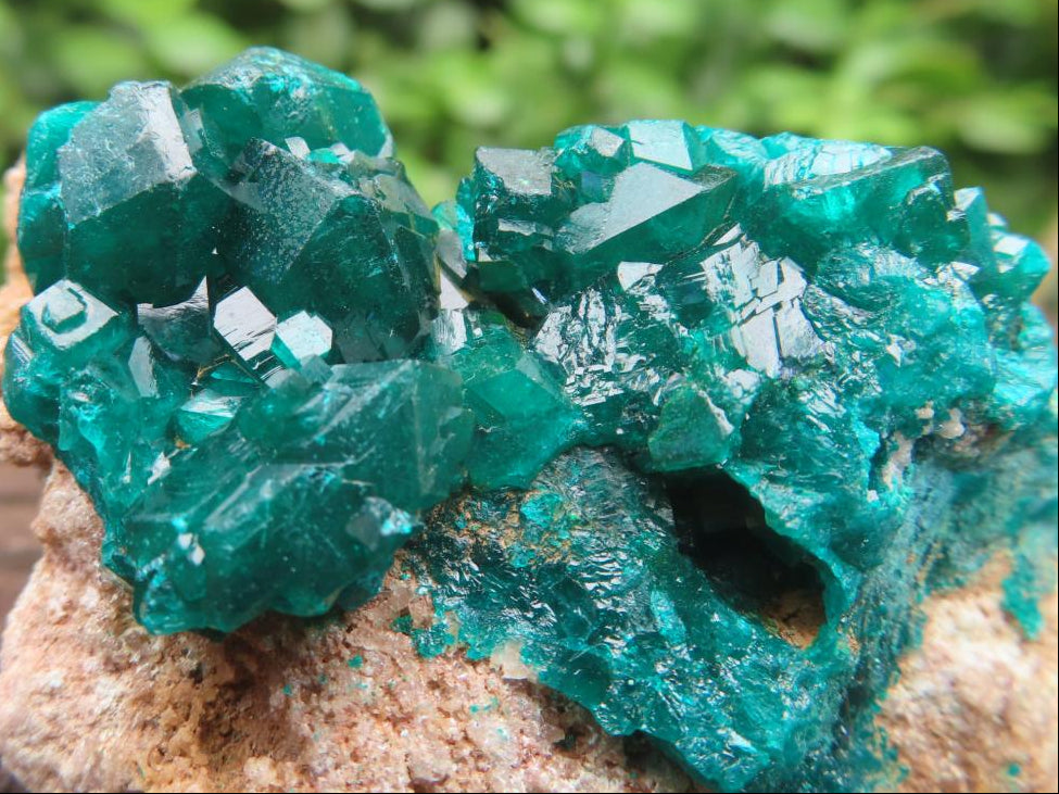Natural Small Classic Dioptase Specimen on Dolomite Matrix x 1 From Likasi, Congo