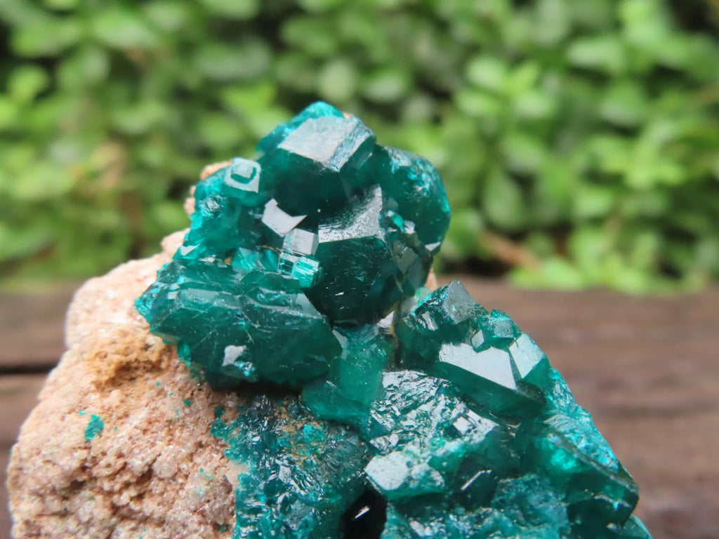 Natural Small Classic Dioptase Specimen on Dolomite Matrix x 1 From Likasi, Congo