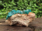 Natural Small Classic Dioptase Specimen on Dolomite Matrix x 1 From Likasi, Congo