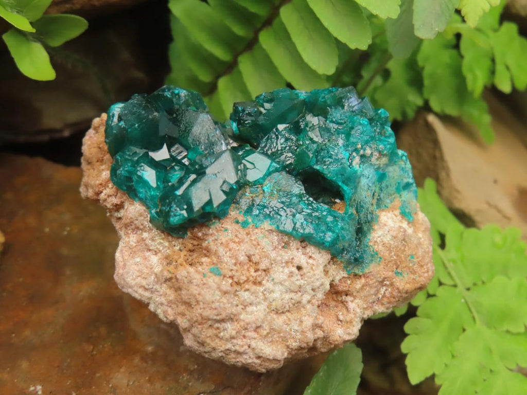Natural Small Classic Dioptase Specimen on Dolomite Matrix x 1 From Likasi, Congo