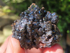 Natural Super Rare Descloizite with Silver Crystals x 1 From Berg Aukas, Namibia