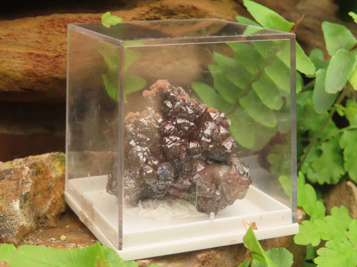 Natural Super Rare Descloizite with Silver Crystals x 1 From Berg Aukas, Namibia