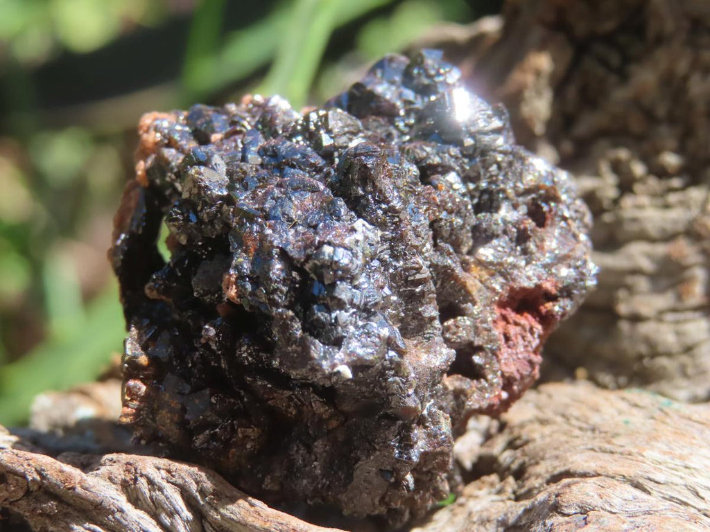 Natural Super Rare Descloizite with Silver Crystals x 1 From Berg Aukas, Namibia