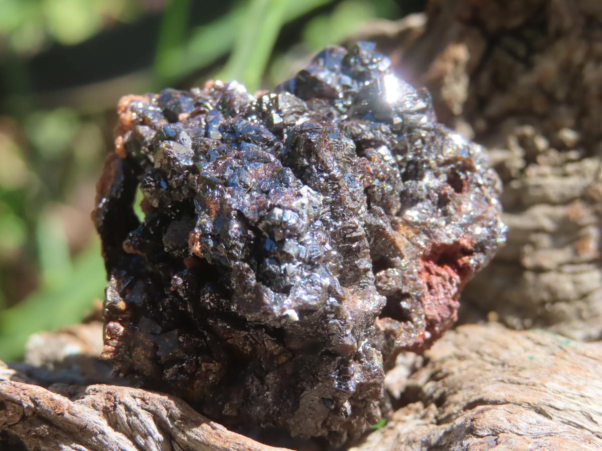 Natural Super Rare Descloizite with Silver Crystals x 1 From Berg Aukas, Namibia