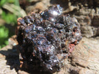 Natural Super Rare Descloizite with Silver Crystals x 1 From Berg Aukas, Namibia