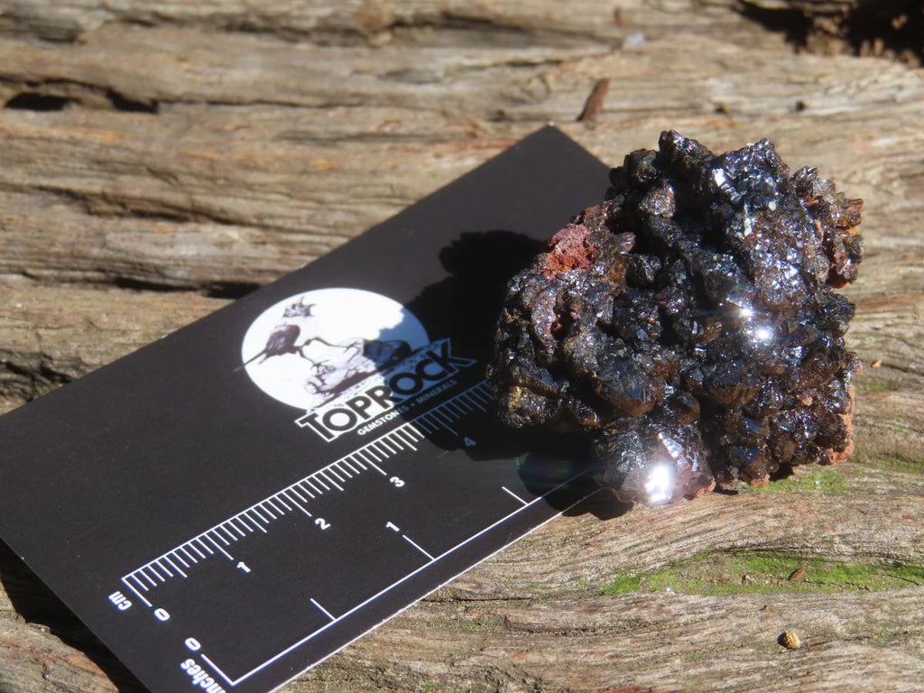 Natural Super Rare Descloizite with Silver Crystals x 1 From Berg Aukas, Namibia