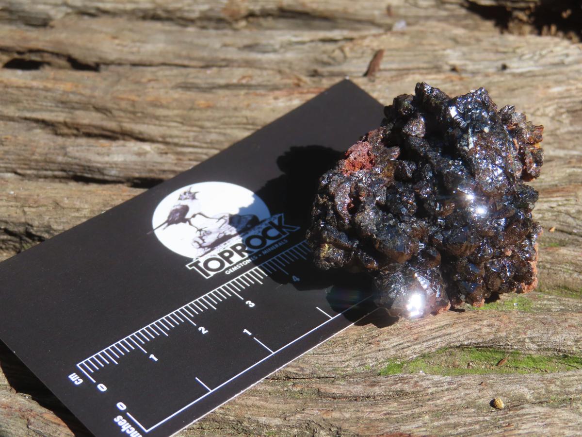 Natural Super Rare Descloizite with Silver Crystals x 1 From Berg Aukas, Namibia