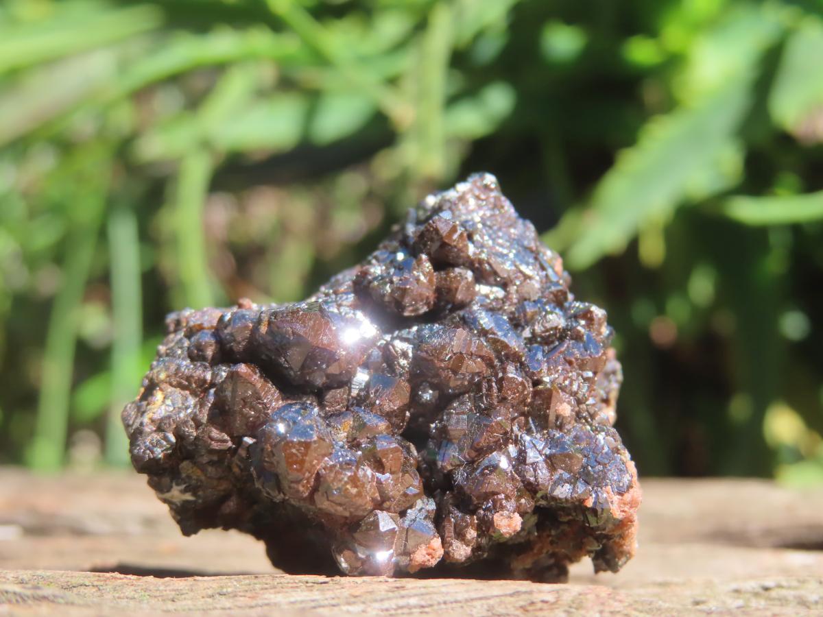 Natural Super Rare Descloizite with Silver Crystals x 1 From Berg Aukas, Namibia