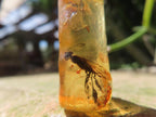 Natural Copal Amber Specimens x 2 From Nosy Varika, Madagascar